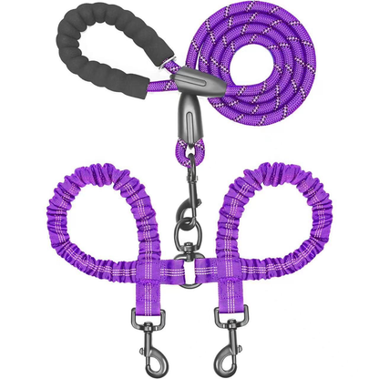 Effortless Walks with Two Dogs – Tangle-Free Design