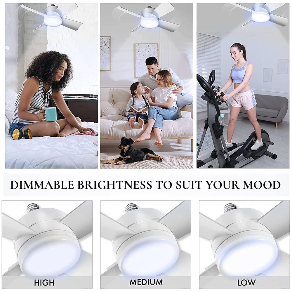 Remote-Controlled 2-in-1 Ceiling Fan Light with E27/B22 Base
