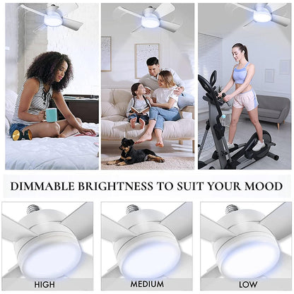 Remote-Controlled 2-in-1 Ceiling Fan Light with E27/B22 Base