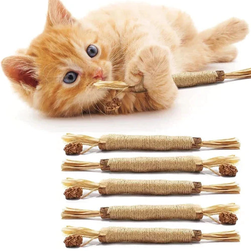 Whisker Wellness Chew Stick: Fun Meets Dental Care for Cats