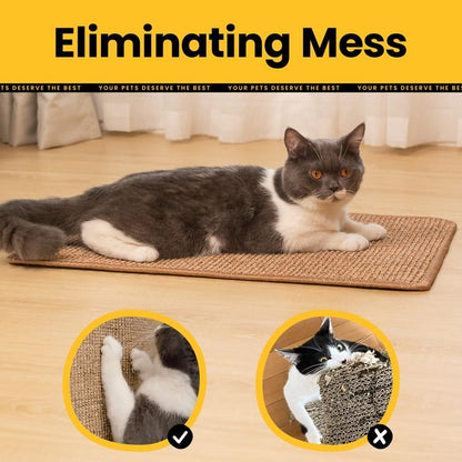Natural Nail Care for Pets – Protect Your Furniture!