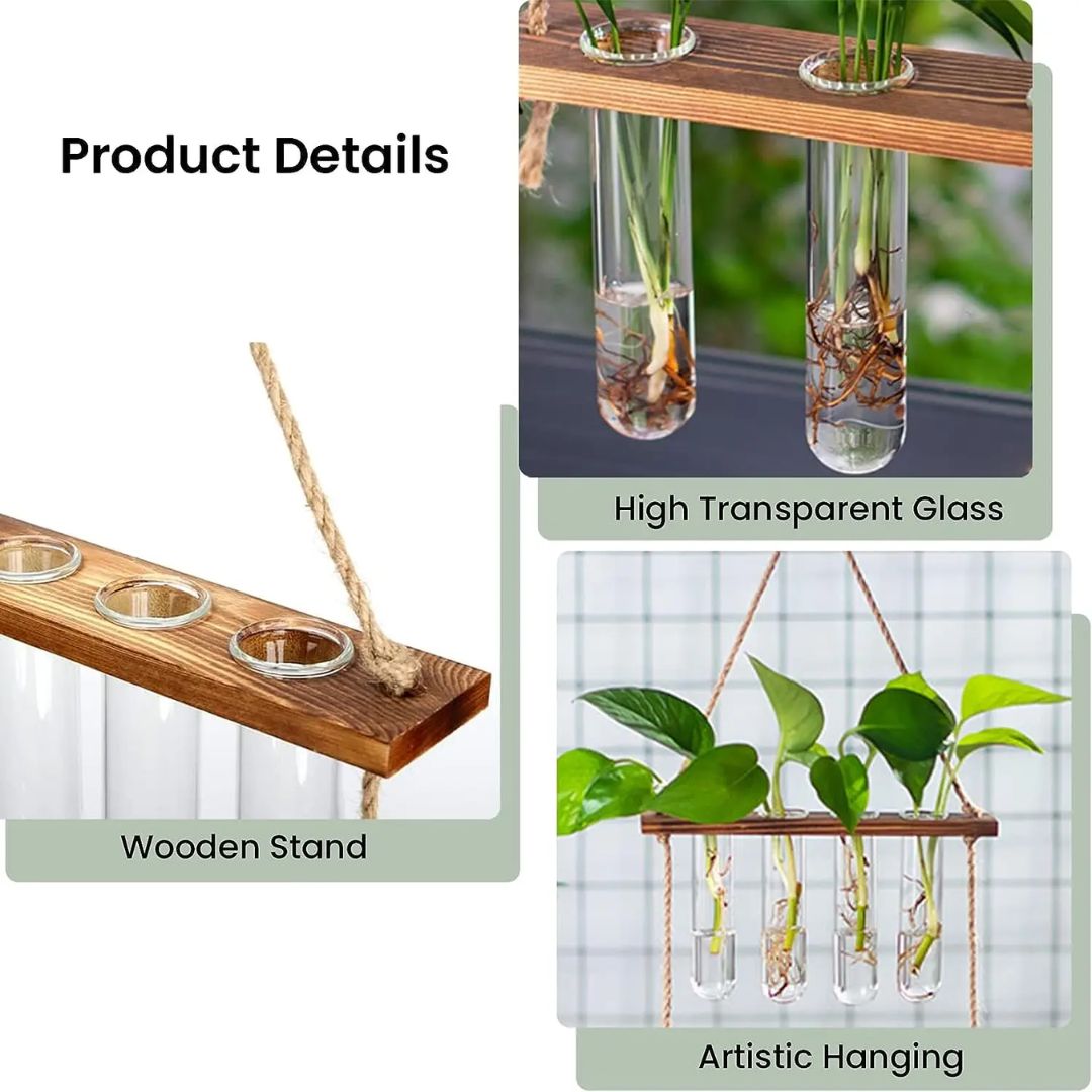 Transform Walls into Fresh, Space-Saving Greenery