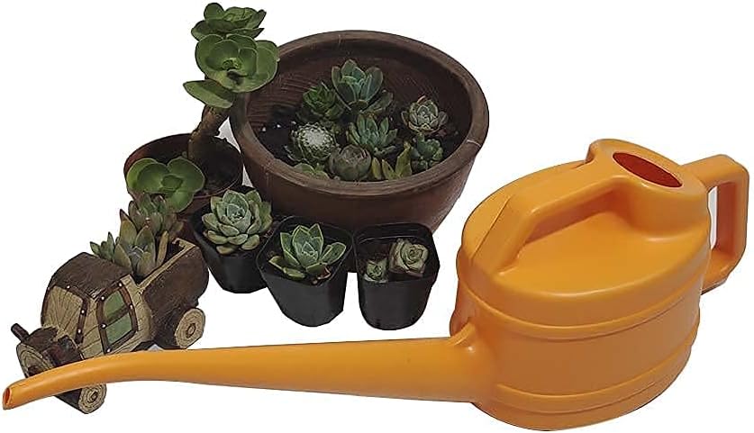 Water Your Plants Precisely Where They Need It – AguaEase