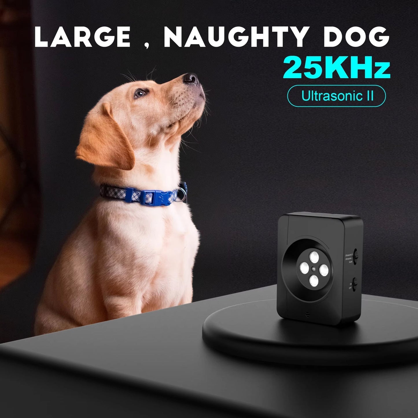 Canine Bark Control Device