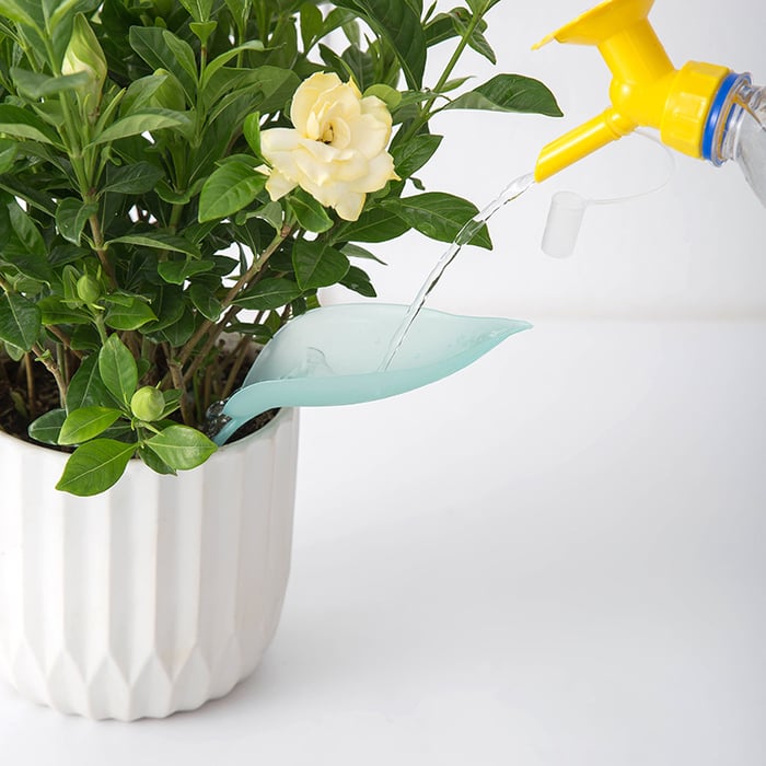 Clean Watering for Aquatic Plants Without Spills or Mess Every Time