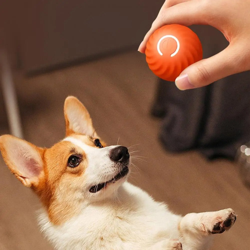 Interactive Automatic Dog Toy for Playtime Fun