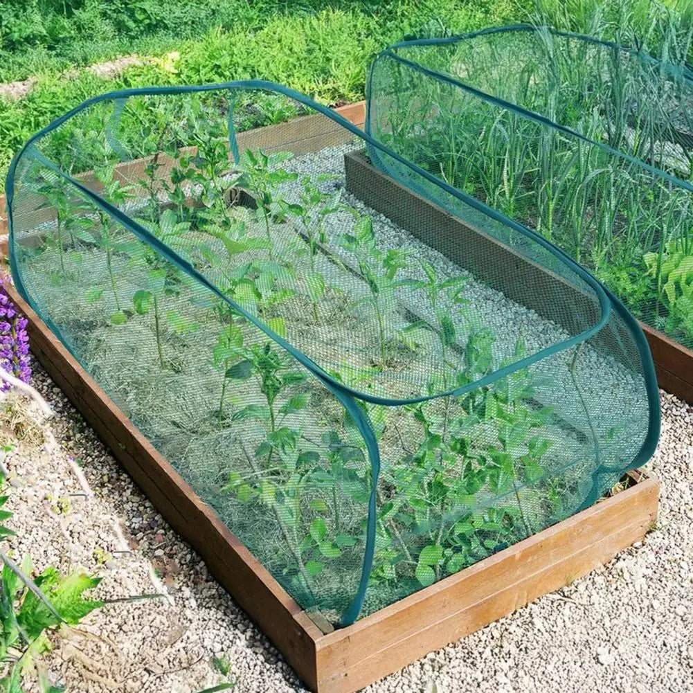 Foldable Plant Cage with Ground Anchors | Garden Raised Bed Protection Net