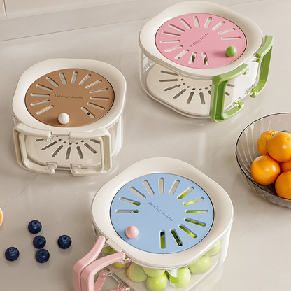 Expandable Kitchen Strainer with Lid | Versatile Food Storage Solution