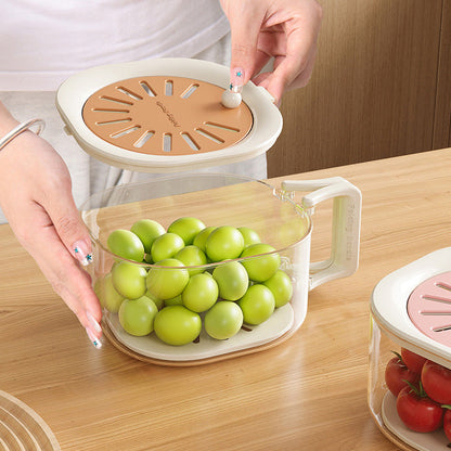 Expandable Kitchen Strainer with Lid | Versatile Food Storage Solution
