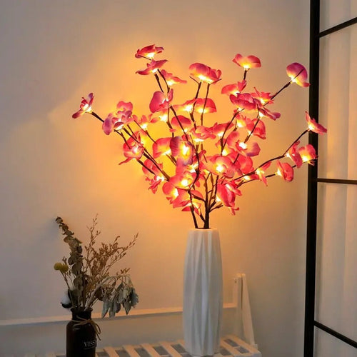Transform Any Room with Warm, Enchanting Natural Light