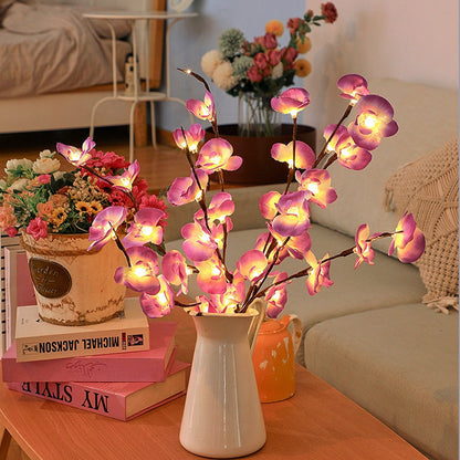 Transform Any Room with Warm, Enchanting Natural Light