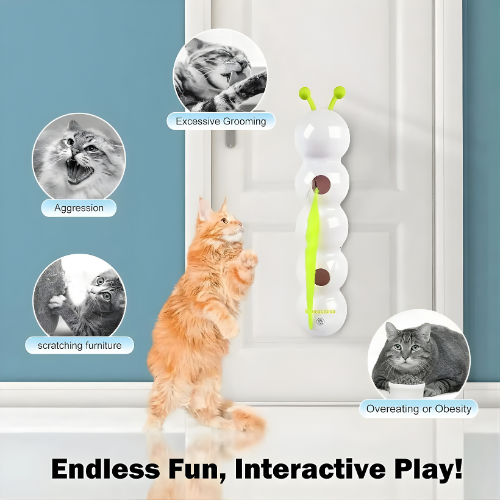 Window Play Station for Cats | 40 cm Interactive Toy