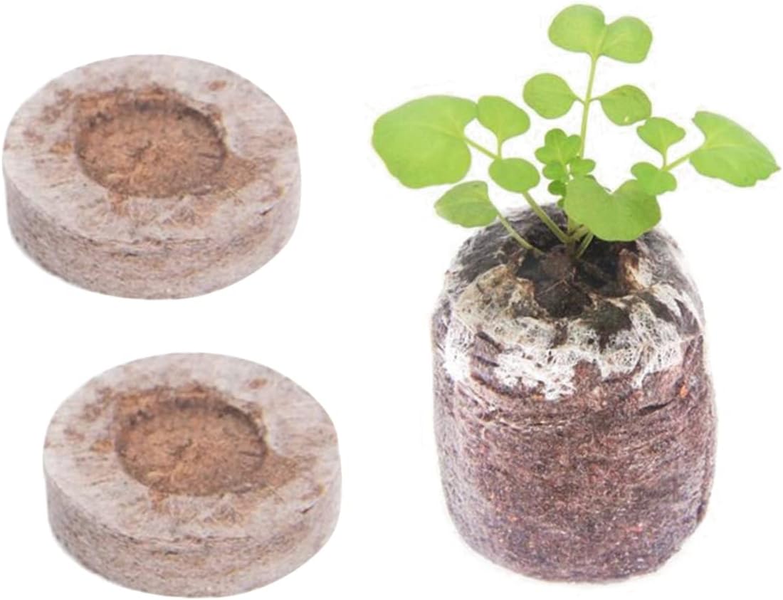 Quick and Strong Sprouting with Ideal Moisture Control