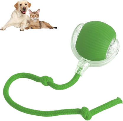 Buy One Get One Free | AutoPaws - Self-Moving Action Toy