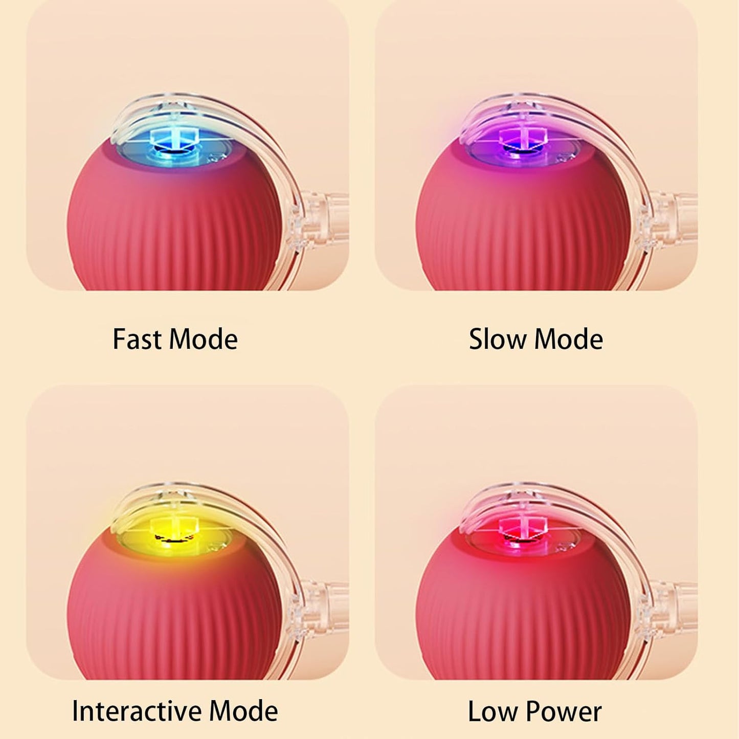 Buy One Get One Free | AutoPaws - Self-Moving Action Toy