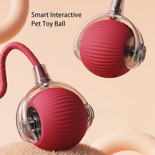 Buy One Get One Free | AutoPaws - Self-Moving Action Toy