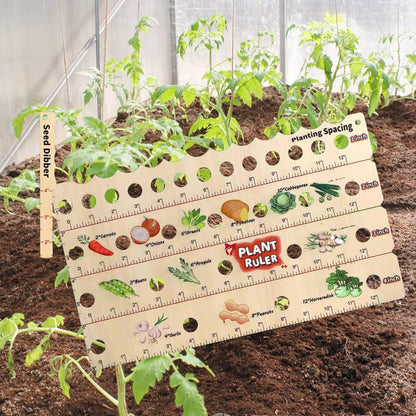 Plant Spacing and Depth Guide for Thriving Growth