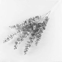 Silver Eucalyptus