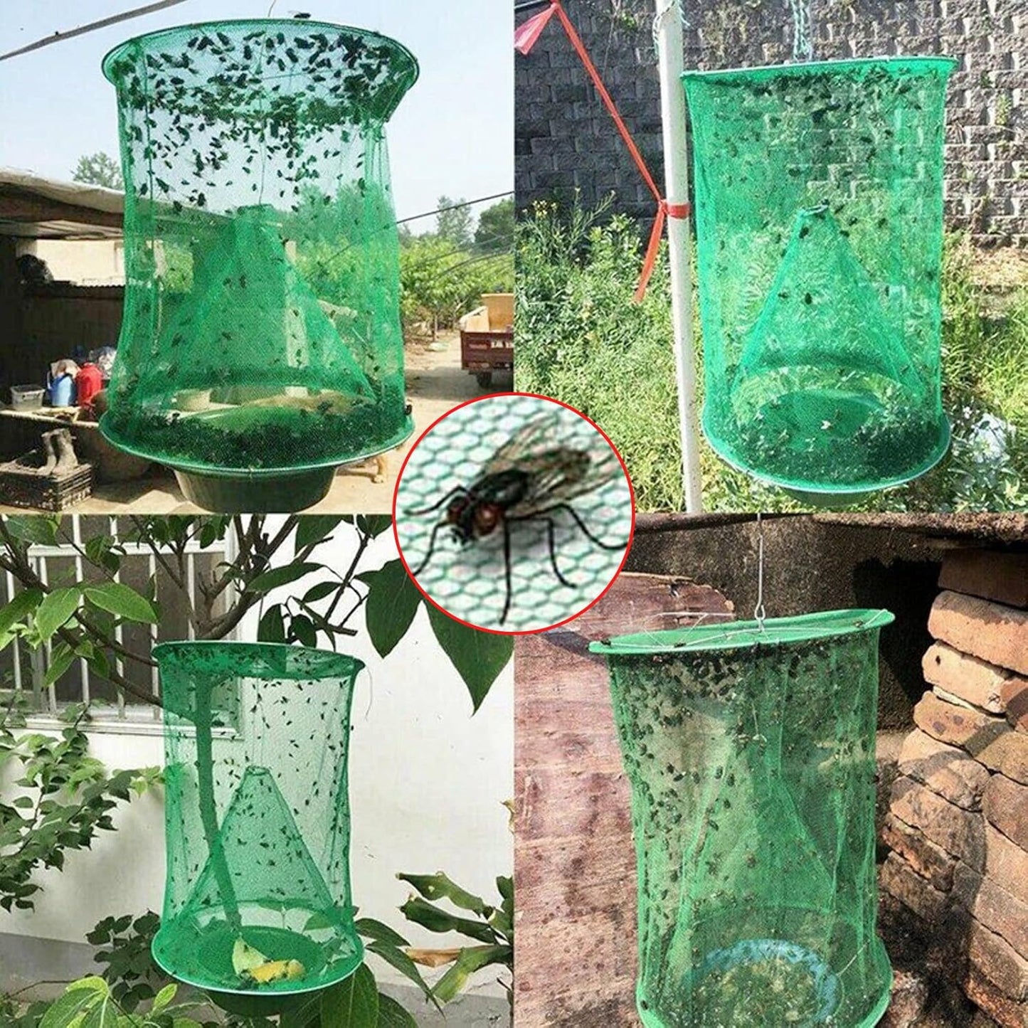 Eco-Friendly Fly Catcher – FlyBuster Duo Set for Home & Garden