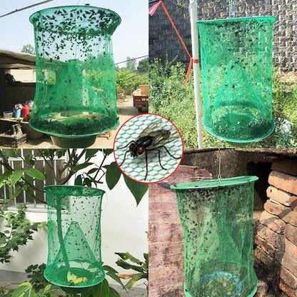 Eco-Friendly Fly Catcher – FlyBuster Duo Set for Home & Garden