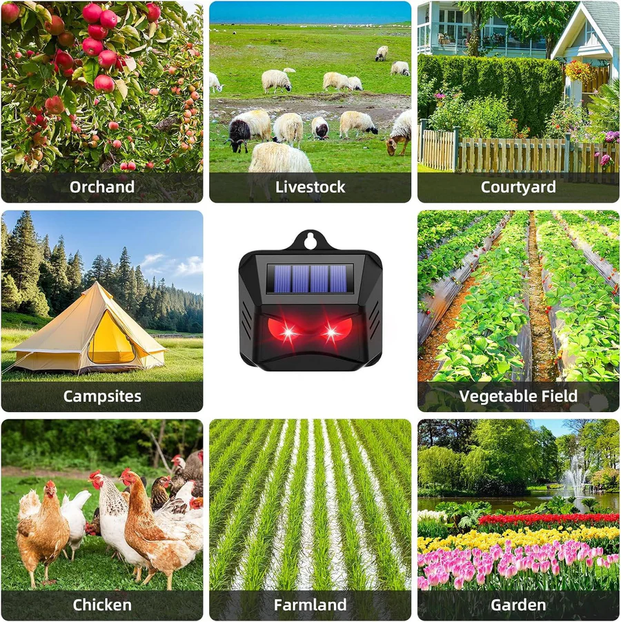 Buy One Get One Free | Instant Garden Pest Protection, Chemical-Free
