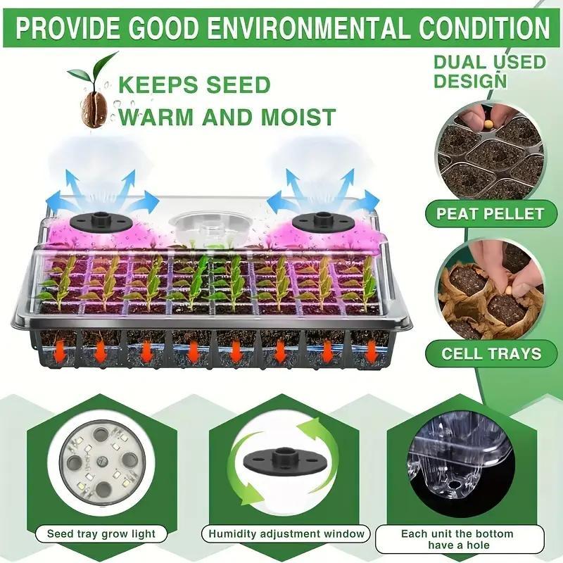 Quick and Robust Seedlings with Ideal Light and Moisture