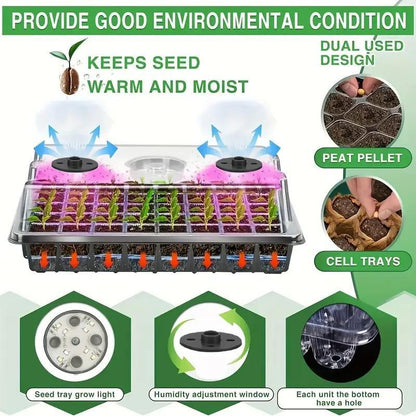 Quick and Robust Seedlings with Ideal Light and Moisture