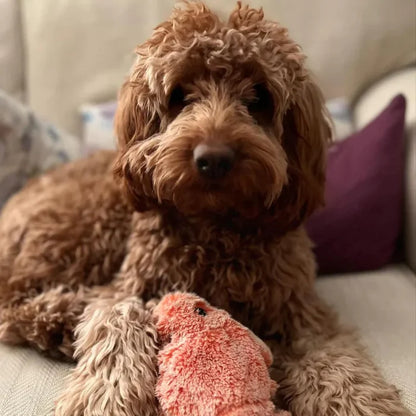 Interactive Dog Toy with Motion Sensor – Play Companion
