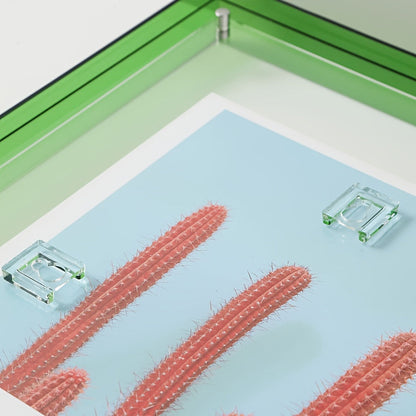 Crystal Clear Art Display Frame – Ideal for Any Space