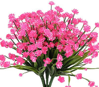 Pink Daffodil*5