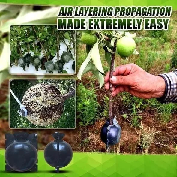 Grow Box for Plant Roots - Buy 3, Get 2 Free [Last Day Discount]