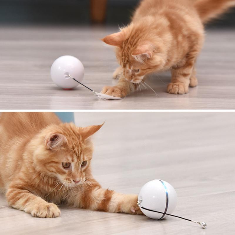 Endless Fun Toy for Keeping Your Cat Active and Happy