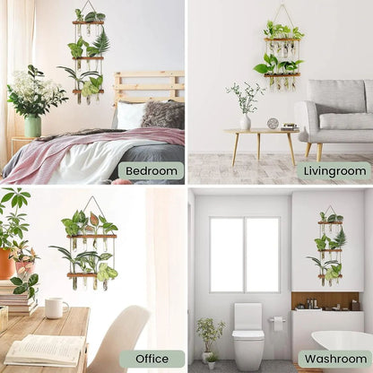 Transform Walls into Fresh, Space-Saving Greenery