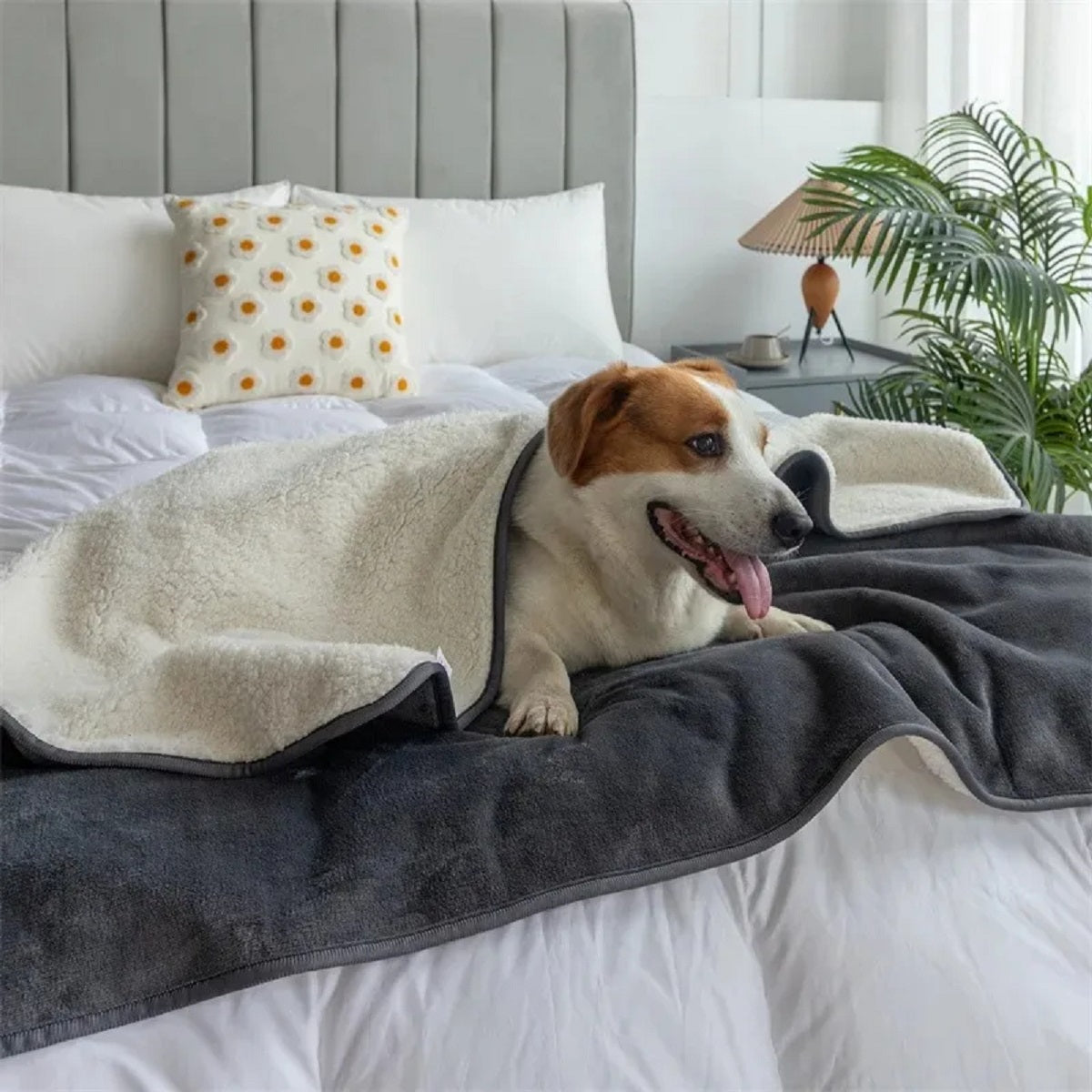 Waterproof Pet Throw Blanket for Dogs and Cats - Slate Grey