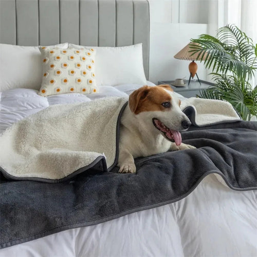 Waterproof Pet Throw Blanket for Dogs and Cats - Slate Grey