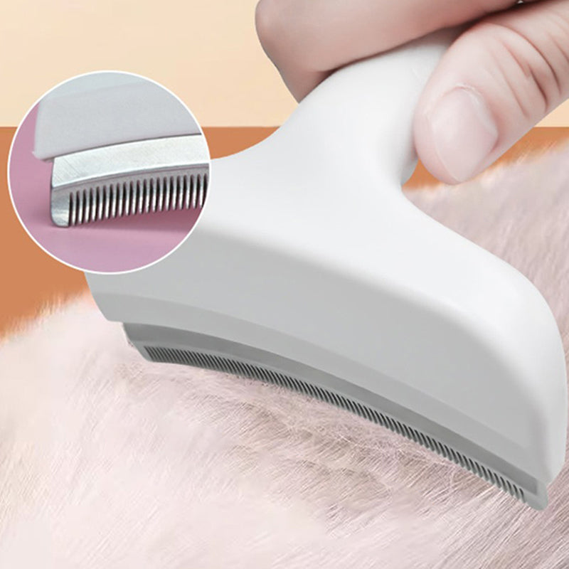 Effortless Fur Control for a Clean and Happy Home