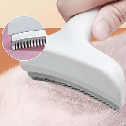 Effortless Fur Control for a Clean and Happy Home