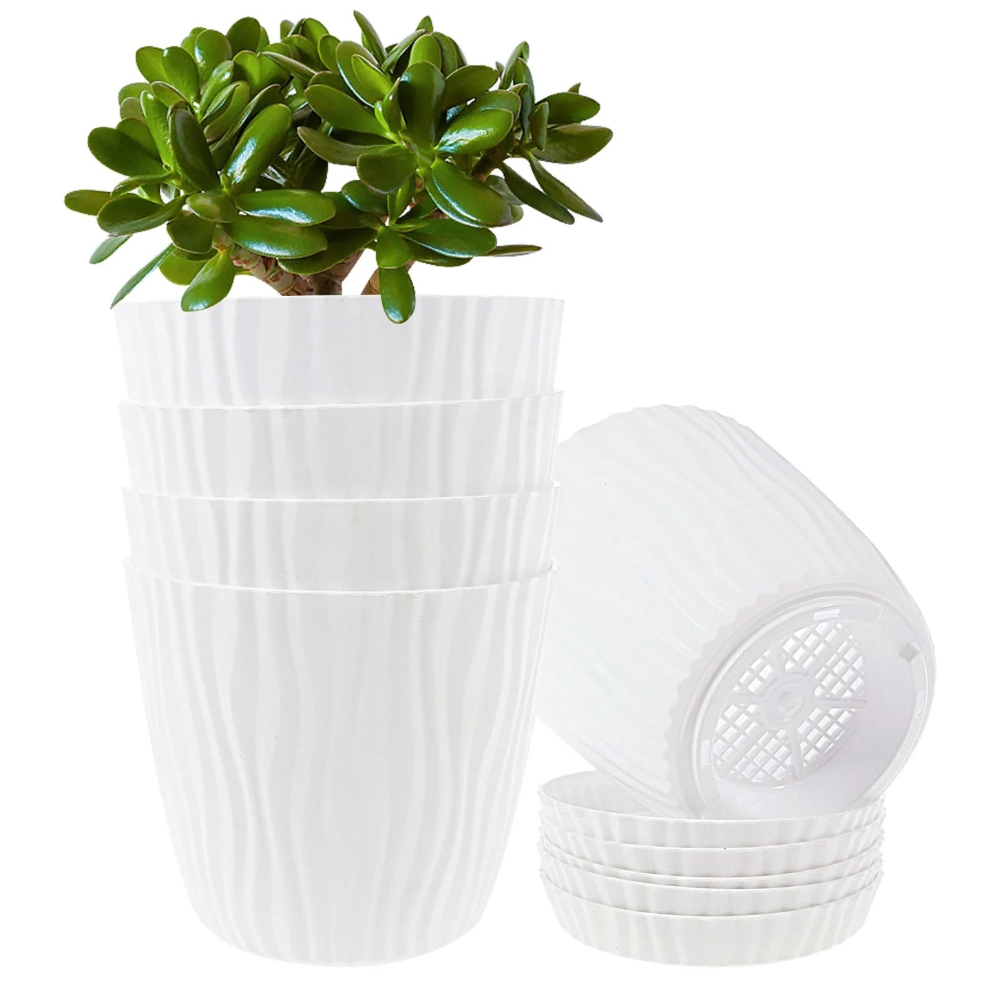 Set of 5 Planters with Drainage Holes and Saucers | Textured PP, 14.5 cm for Indoor and Outdoor Use