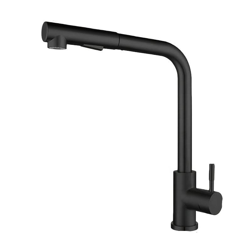Modern Stainless Steel Pull-Out Kitchen Faucet