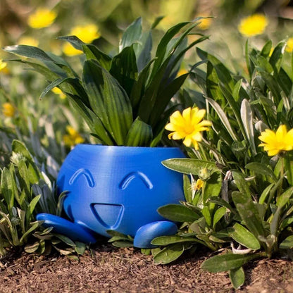 Brighten Any Room with Fun and Healthy Plant Display
