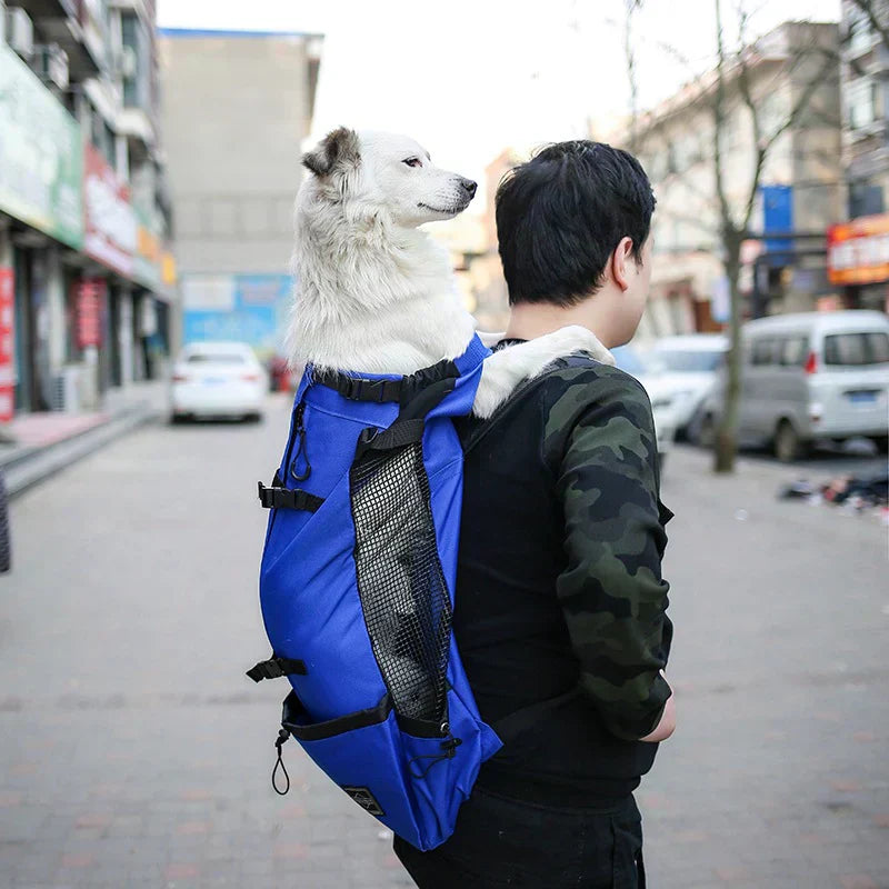 Medium Dog Backpack – Comfortable Carry Bag with Safety Strap & Storage Pockets