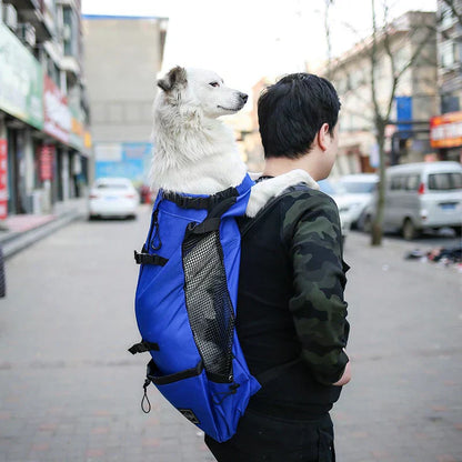 Medium Dog Backpack – Comfortable Carry Bag with Safety Strap & Storage Pockets