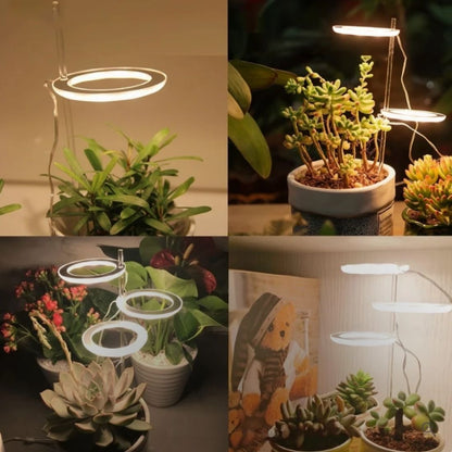 Indoor Plant Growth Light – Last Day Discount