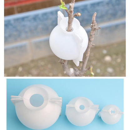 Plant Propagation Capsule for Air Layering