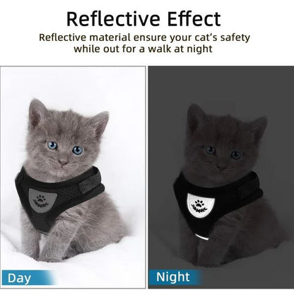 Adjustable, Breathable, Light-Up Cat Harness