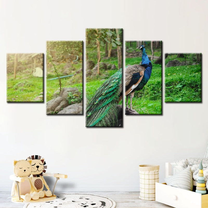 5-Piece Radiant Peacock Canvas Art Set