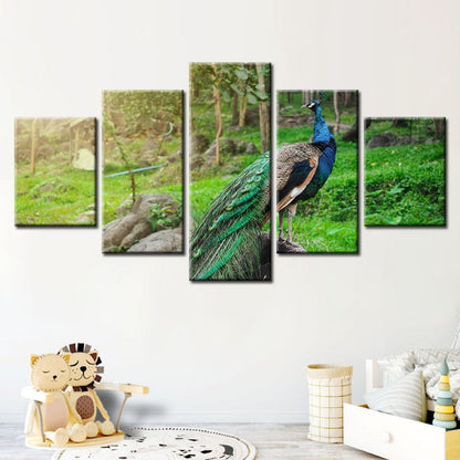 5-Piece Radiant Peacock Canvas Art Set