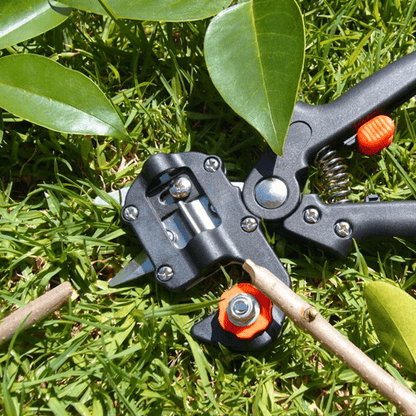 Garden Grafting Tool Set for Professionals