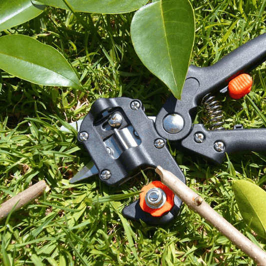 Garden Grafting Tool Set for Professionals