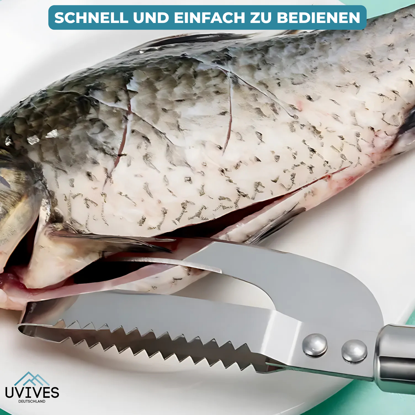 Buy One Get One Free | Quick and Easy Fish Cleaning Tool